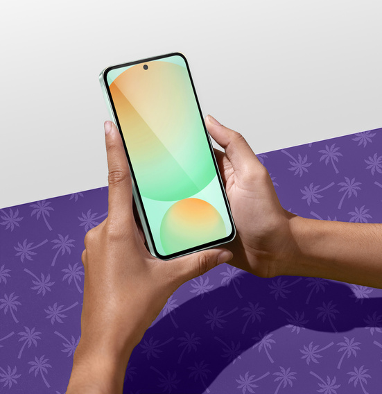 Γυαλί Shy Palm για Samsung Galaxy S24 FE