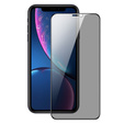 Το γυαλί Dux Ducis Anti Spy Tempered Glass για iPhone XR / 11